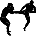 (image for) Fighting 1 =