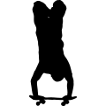 (image for) Skateboard 5 =