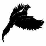 (image for) Pheasant Bird cnc art sample