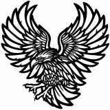 (image for) Eagle Flight