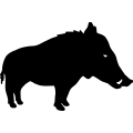 (image for) Boar Hog 12 =