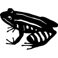 (image for) Frog 4 =