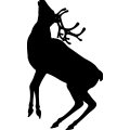 (image for) Reindeer 18 =
