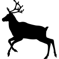 (image for) Reindeer 19 =