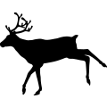 (image for) Reindeer 29 =