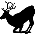 (image for) Reindeer 39 =