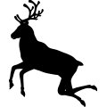 (image for) Reindeer 4 =