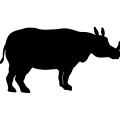(image for) Rhino 2 =