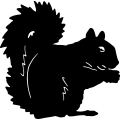 (image for) Squirrel 014 =