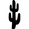 (image for) Cactus 038