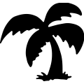 (image for) Palm Tree 155 _