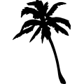(image for) Palm Tree 186 =