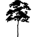 (image for) Tree 188 =