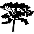 (image for) Tree 205 =