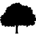 (image for) Tree 207 =