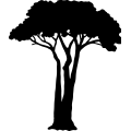 (image for) Tree 217 =