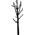 (image for) Tree 252 =