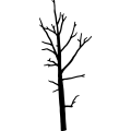 (image for) Tree 254 =