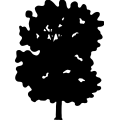 (image for) Tree 256 =