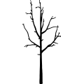 (image for) Tree 261 =