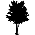 (image for) Tree 263 =