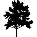 (image for) Tree 269 =