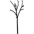 (image for) Tree 275 =