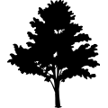 (image for) Tree 276 =