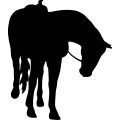 (image for) Horse Saddled 010 =