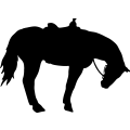 (image for) Horse Saddled 011 =