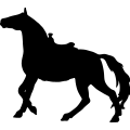 (image for) Horse Saddled 023 =