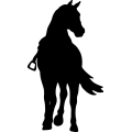 (image for) Horse Saddled 024 =