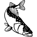 (image for) Walleye 003 =