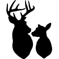(image for) Deer Family 013 ! _