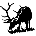 (image for) Elk 019 =