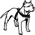 (image for) Pitbull Harness 1 =