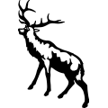 (image for) Elk 023 =