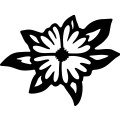 (image for) Flower 055 =