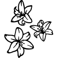 (image for) Lily Flowers ! =