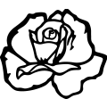 (image for) Rose 013
