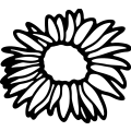 (image for) Sunflower 011 =