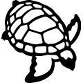 (image for) Turtle 231 =