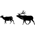 (image for) Elk Family 202 ~