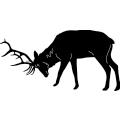 (image for) Elk Fighting 223 ~