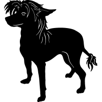 (image for) Chinese Crested 2 =
