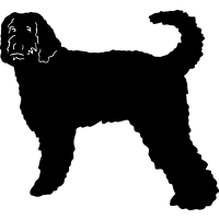 (image for) Labradoodle 3 =