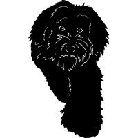 (image for) Labradoodle 6 =