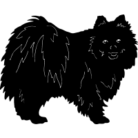 (image for) Pomeranian 1 =