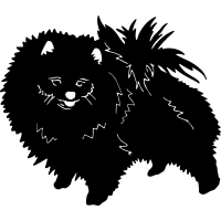 (image for) Pomeranian 6 =