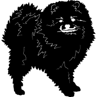 (image for) Pomeranian =